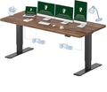 FLEXISPOT 79x32 Inch Large Dual Motor Electric Standing Desk, Creative Studio by FlexiSpot