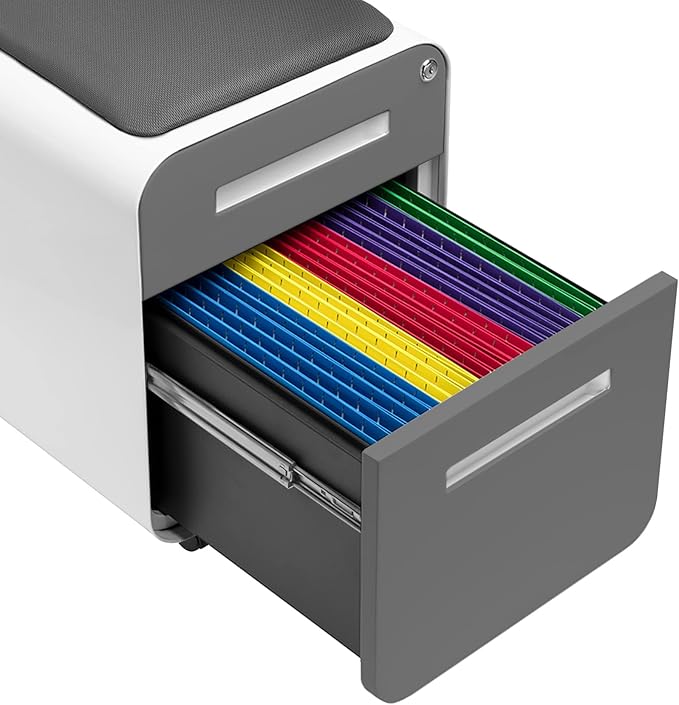 Laura Davidson Furniture STOCKPILE Mini Seated 2 Drawer Mobile File Cabinet - Image 8