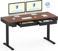 FLEXISPOT Q5 Standing Desk