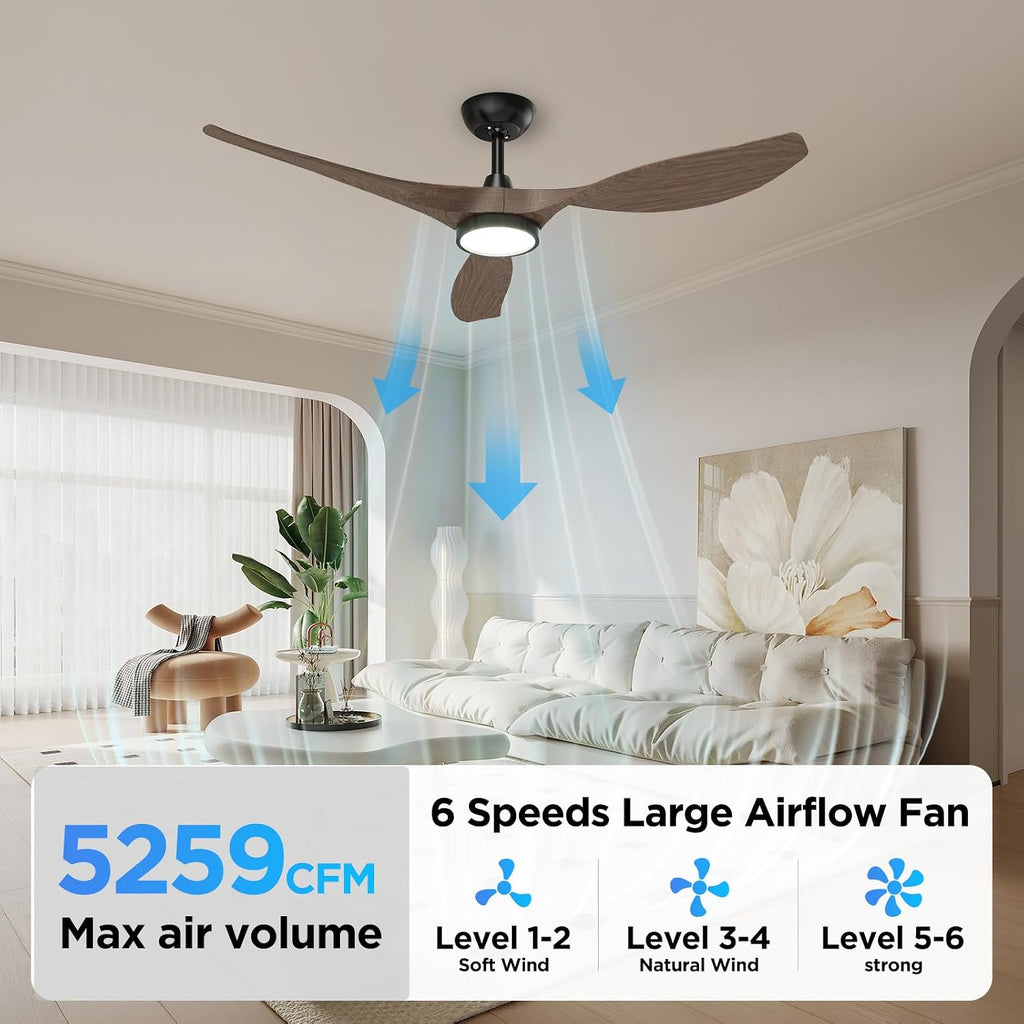 roomratv 52'' modern ceiling fan with light, wide on a desk or shelf