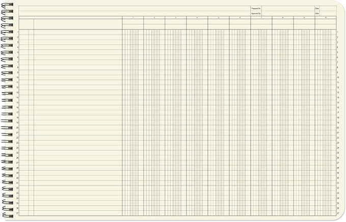 BookFactory Accounting Ledger Notebook/Large 10 Column Accounting Ledger - Image 3