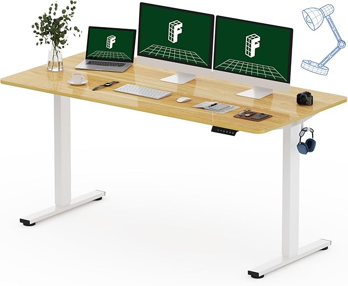 FLEXISPOT One-Piece Electric Standing Desk, 60 x 24 Inches Adjustable Desk by FlexiSpot