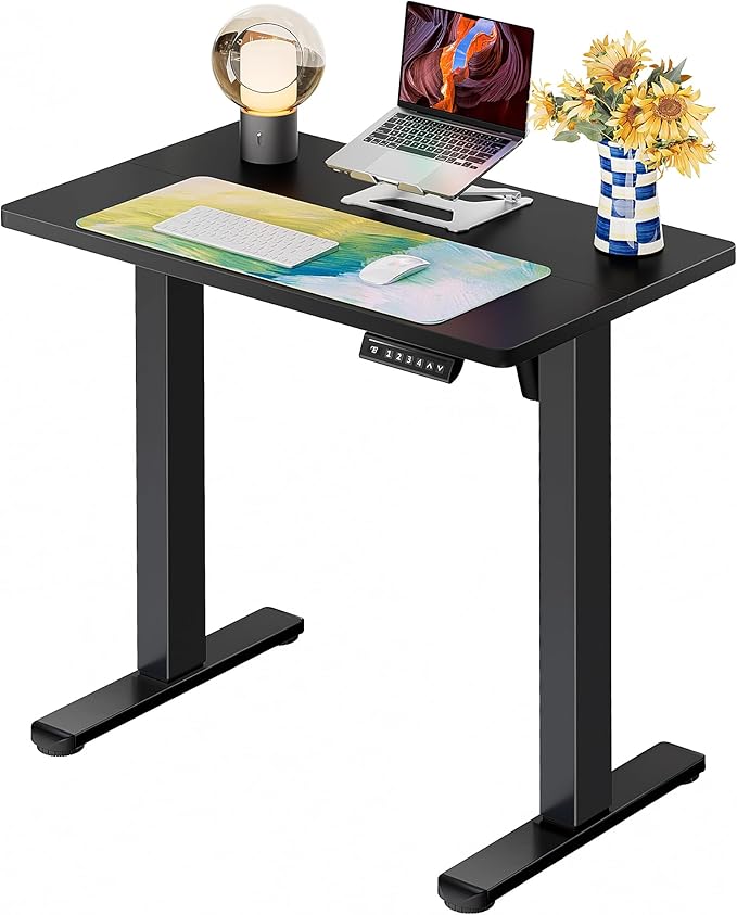 ErGear Height Adjustable Electric Standing Desk, 31.5 x 18.9 Inches Sit Stand by ErGear