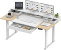 SANODESK Electric Standing Desk by sanodesk
