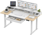 SANODESK Electric Standing Desk by sanodesk