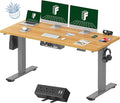 FLEXISPOT EN2 Whole-Piece Standing Desk by FlexiSpot