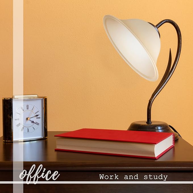 Huquary Lamp Glass Shades for Floor Lamp Elegant Cover Light Fixture Shade - Image 5