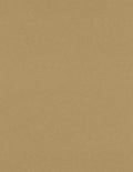 LUXPaper 8.5" x 11" Paper | Letter Size | Grocery Bag Brown | 70lb. Text | 250 by LUXPaper