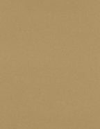 LUXPaper 8.5" x 11" Paper | Letter Size | Grocery Bag Brown | 70lb. Text | 250 by LUXPaper
