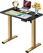 ErGear Height Adjustable Electric Standing Desk, 31.5 x 18.9 Inches Sit Stand by ErGear
