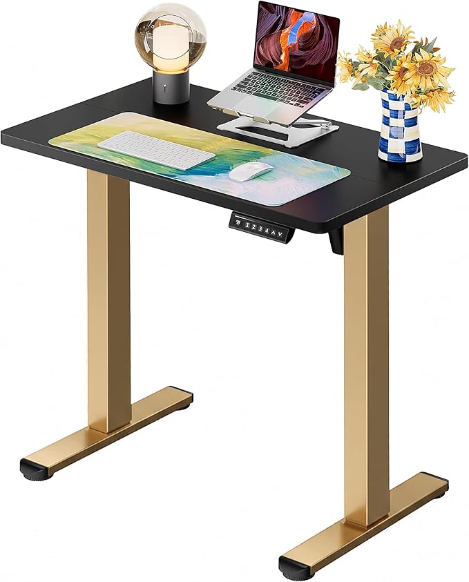 ErGear Height Adjustable Electric Standing Desk, 31.5 x 18.9 Inches Sit Stand by ErGear
