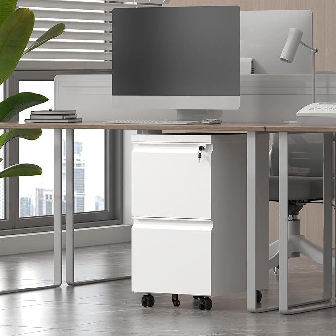 HOMOFFICE 2 Drawer File Cabinet - Image 2