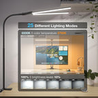 Hensam Desk Lamp for Home Office, Double Head Desk Light - Image 3