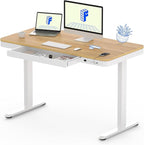 FLEXISPOT Comhar Electric Standing Desk by FlexiSpot