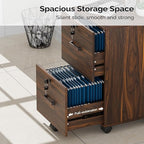 VINGLI 2 Drawer File Cabinet - Image 4