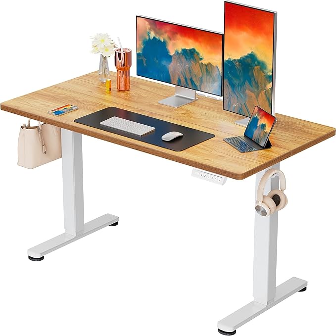 ErGear Height Adjustable Electric Standing Desk, 48 x 24 Inches Sit Stand up by ErGear