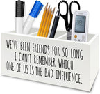 QZQE Funny Sarcastic Friendship Pen Pencil Holder Organizer by Unknown