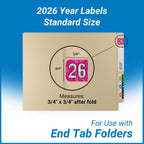 2026 Chart Stickers, Holographic Fuchsia, End Tab, 3/4 x 1-1/2, 500/Roll | Doctor Stuff 26 Year Stickers & Labels, Permanent-Adhesive USA Made to Stay Put for the Life of the Chart
