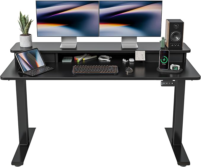 FEZIBO 55 x 24 Inch Height Adjustable Electric Standing Desk by FEZIBO