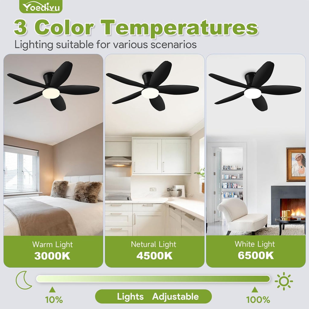ceiling fans with lights - 42 inch low, side view
