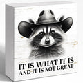 WUZYOU Humor Team Wooden Block Sign, It Is What It Is and It Is Not Great 5x5x1 by WUZYOU