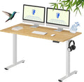 FLEXISPOT EN1 Bamboo One-Piece Standing Desk, 55 x 28 Inches Ergonomic Desk by FlexiSpot