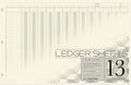 BookFactory Ledger Sheets/Large 13 Column Accounting Ledger Columnar Loose Leaf by BookFactory