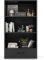 LOKO 4-Tier Bookcase with Storage Drawer, Modern Organizer Display Storage by LOKO