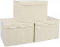 Bagnizer Large 42 Quarts Collapsible Stackable Storage Bins Cube by Bagnizer