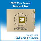 2025 Year Labels, Doctor Stuff 2025 Chart Stickers, Col'R'Tab/Tabbies Style - Image 5