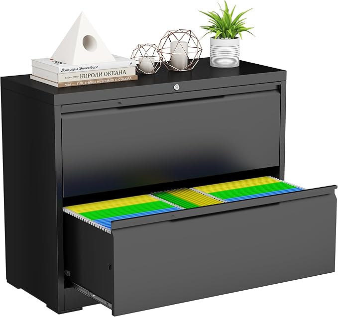LONGLINK 2 Drawer Lateral File Cabinets by MetalStorageCabinet