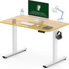 FLEXISPOT One-Piece Electric Standing Desk, 40 x 24 Inches Adjustable Desk by FlexiSpot