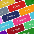 Personalized Labels Medium Custom Name Stickers by BunnyBadges