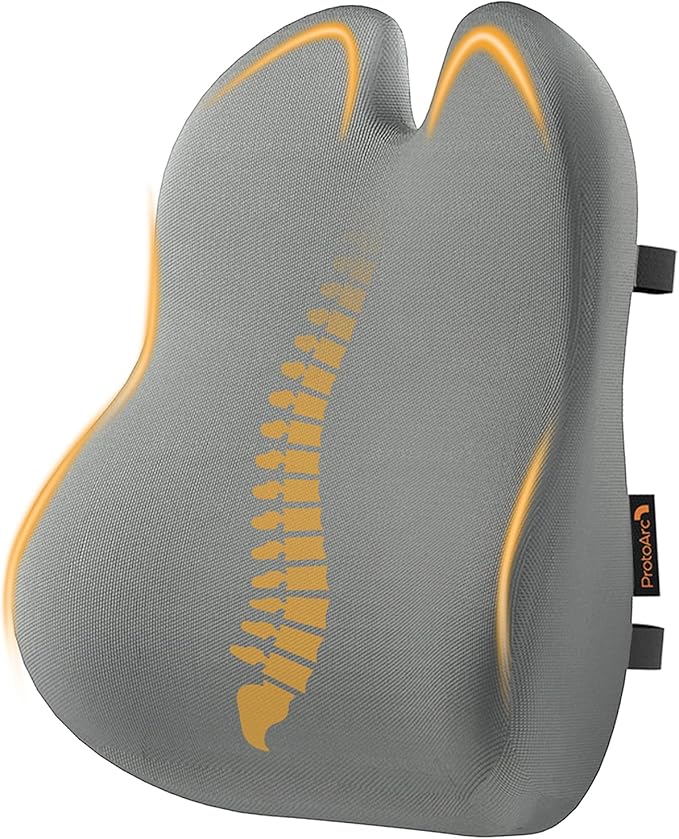 ProtoArc Lumbar Support Pillow for Office Chair, Memory Foam Back Support by ProtoArc