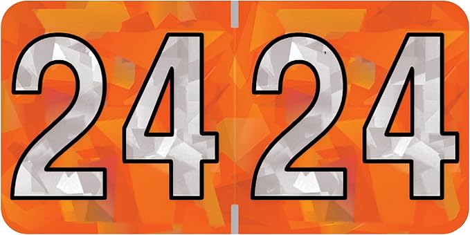2024 Year Labels, Doctor Stuff 2024 Chart Stickers, Holographic Orange Colored by DoctorStuff
