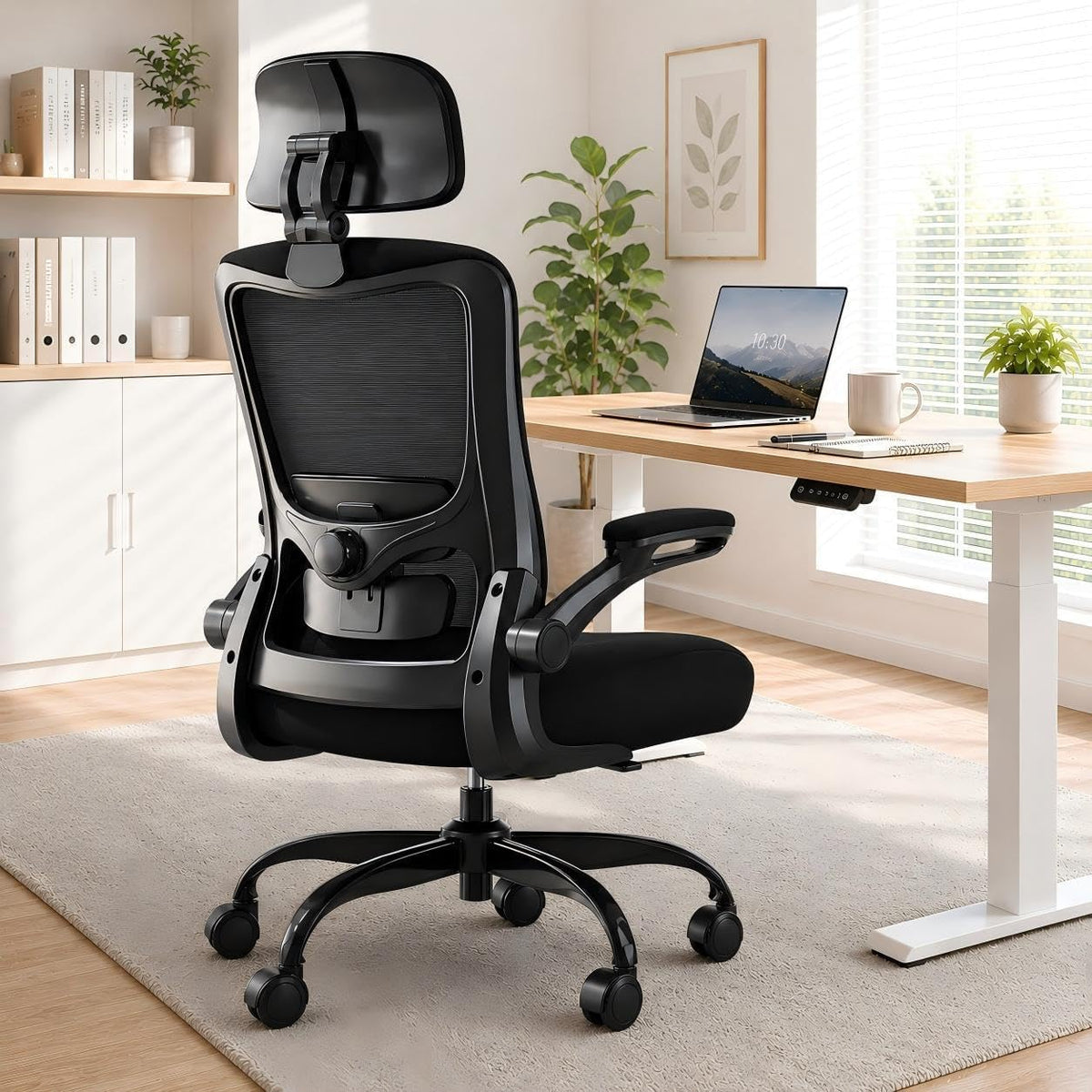 ergonomic office chair for lower back relief, 4-way, main product view