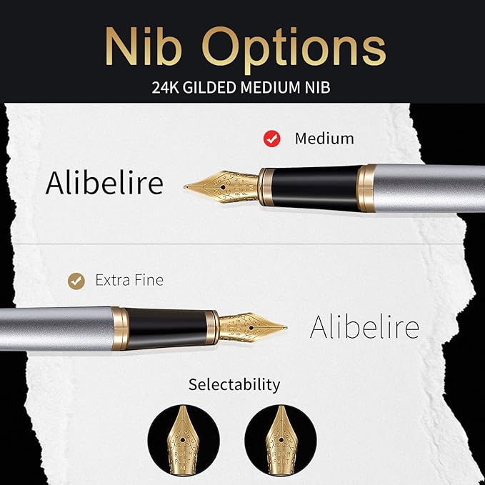 HDDNB Silver Luxury Fountain Pen Set - Image 2