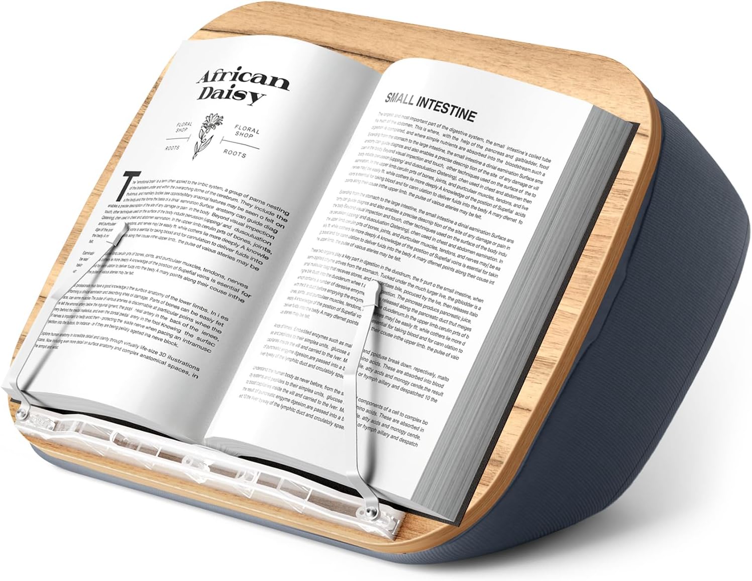ERGONOV Lap Book Stand for Hands Free Reading Comfortable Pillow Stand | Minimize Neck Strain Perfect Idea for Book Lovers in Dorm Room or Anywhere Else with Bookseat(Gray)
