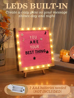 Changeable Felt Letter Board - Image 2
