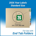 2026 Year Stickers, Doctor Stuff 2026 Chart Stickers, Safeguard Style Ringbook - Image 5