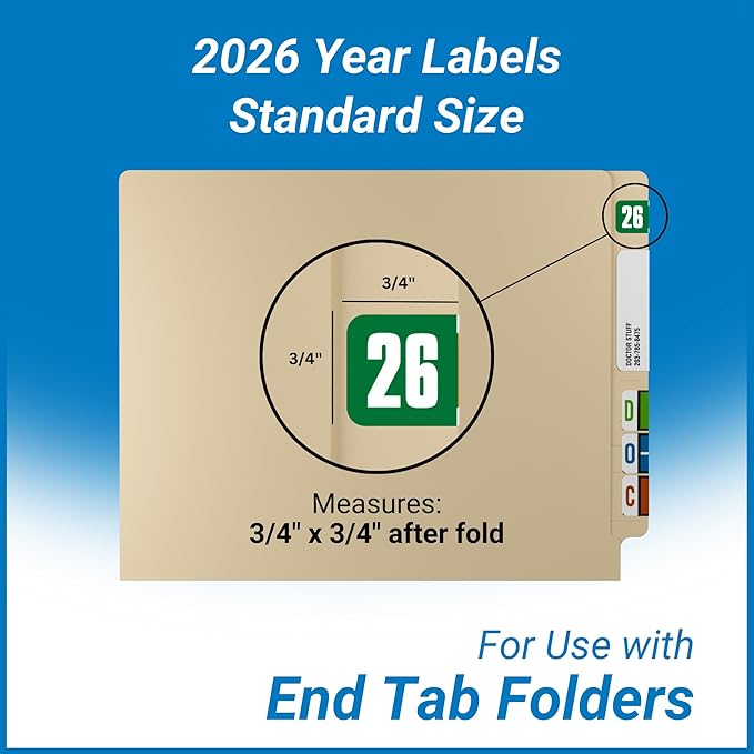 2026 Year Stickers, Doctor Stuff 2026 Chart Stickers, Safeguard Style Ringbook - Image 5