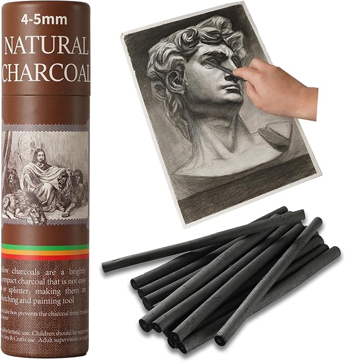 Trzzyan 25 PCS Willow Charcoal Sticks, and Fine Art, 5.7 Inches Long by Unknown