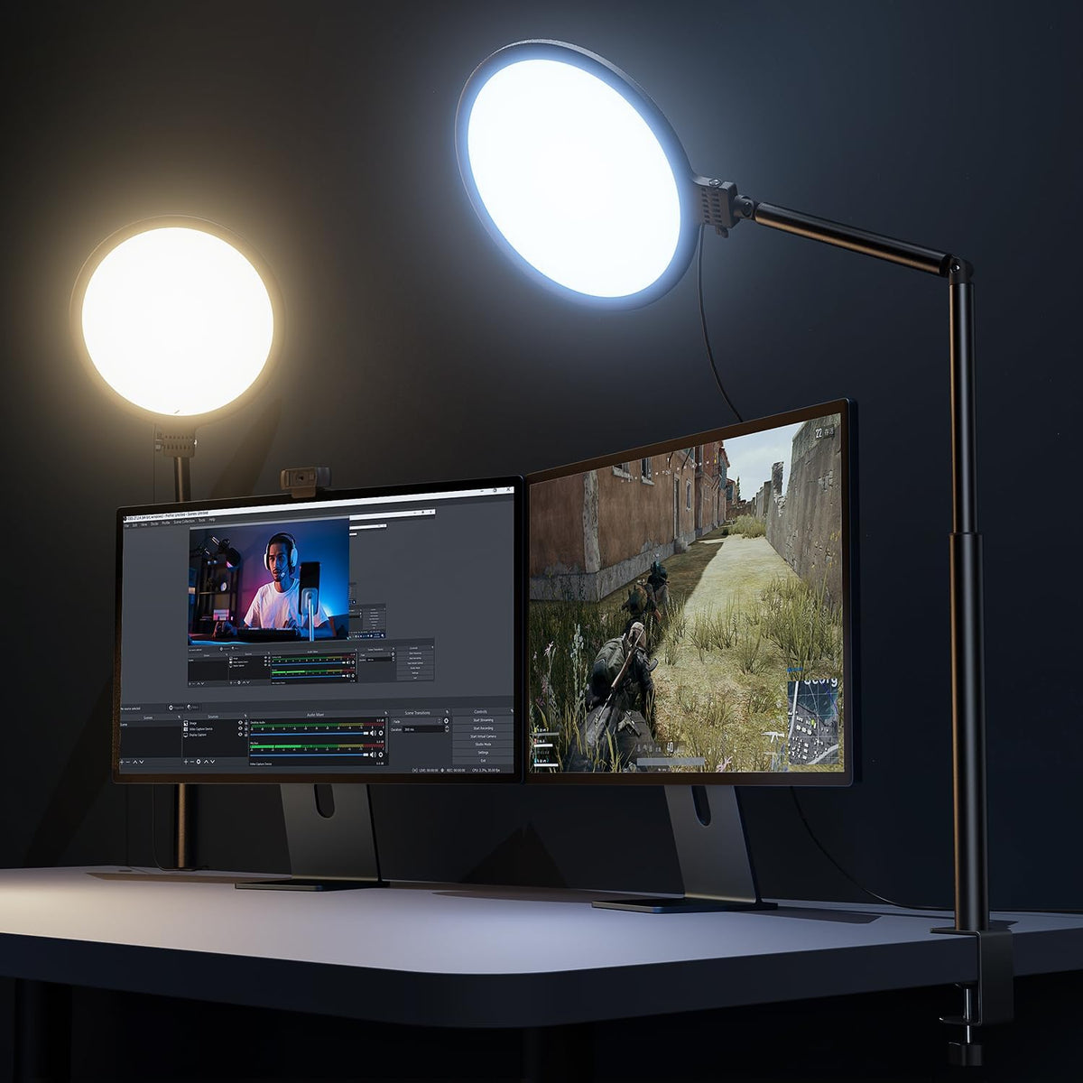 weilisi 10.2" desk ring light with stand, 360°, main product view