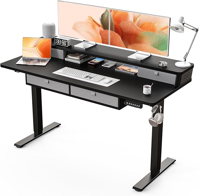 Kingant 55 x 24 Inch Electric Standing Desk by KINGANT