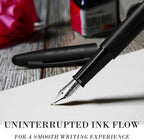 Nicpro Fountain Pen Set with Box, Classic Black Fancy Pen with Converter - Image 7