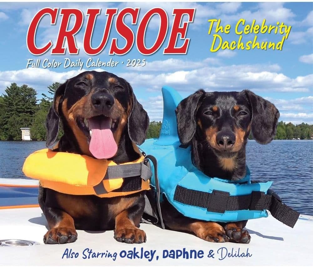 Willow Creek Press, Crusoe the Celebrity Dachshund 2025 Desk Calendar