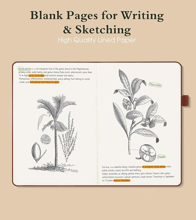 PAIBAS Blank Journal Notebook for Women Men, 160 Pages, A5 Hardcover Sketchbook - Image 3