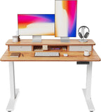 FEZIBO 48 x 24 Inch Height Adjustable Electric Standing Desk by FEZIBO