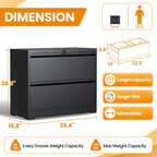 2 Drawer Lateral File Cabinet with Lock, Metal File Cabinets for Home Office, Office Furniture for Organization Hanging Legal/Letter/A4, Metal Filing Cabinet Storage Cabinet, Require Assembly, Black