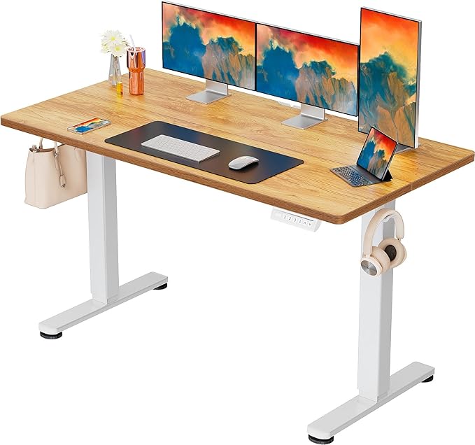 ErGear Height Adjustable Electric Standing Desk, 55 x 28 Inches Sit Stand up by ErGear